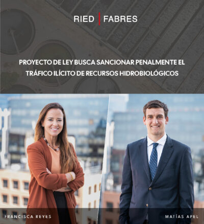 El proyecto propone crear un tipo penal especial de tráfico ilícito de recursos hidrobiológicos, incorporando un nuevo artículo 139 quáter a la Ley General de Pesca y Acuicultura. La iniciativa busca perseguir la cadena de extracción, transporte, almacenamiento, documentación falsa, comercialización e introducción al mercado de recursos de origen ilegal, e incorpora este delito a la Ley N° 20.393.
