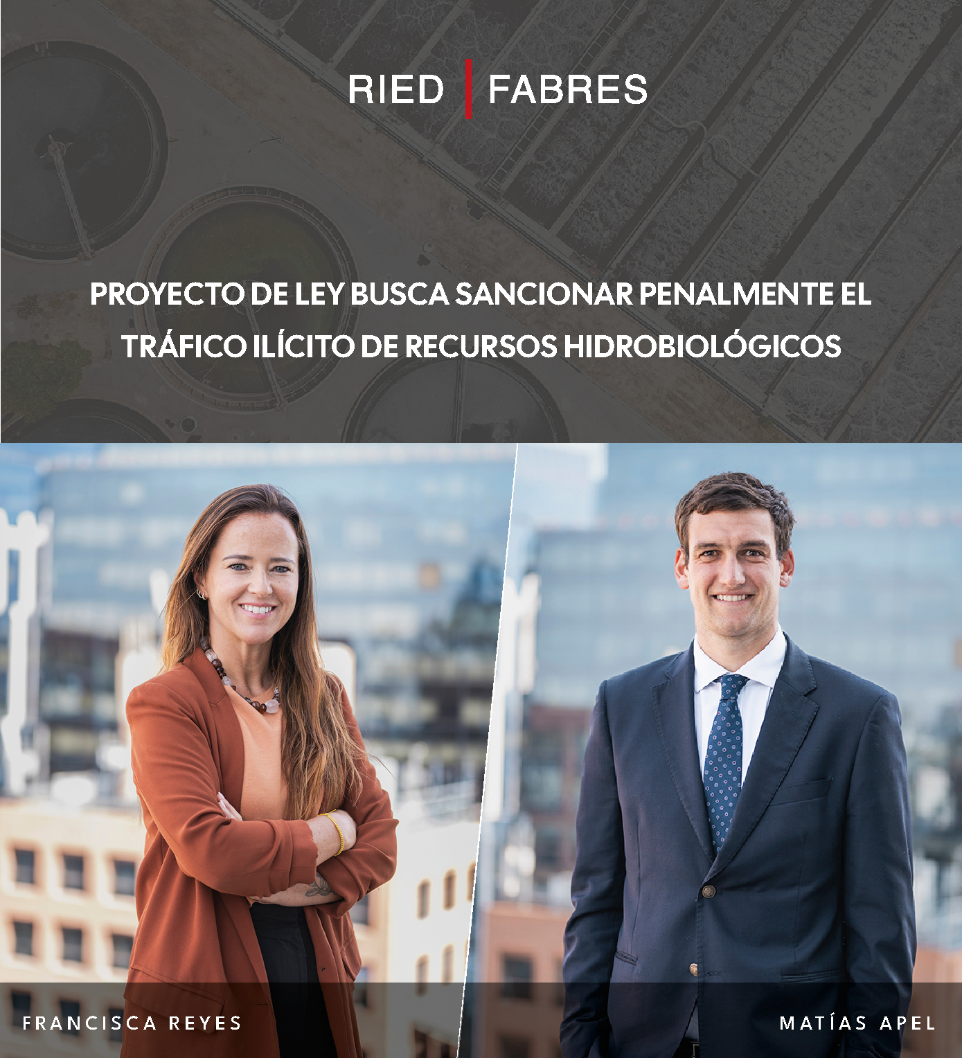 El proyecto propone crear un tipo penal especial de tráfico ilícito de recursos hidrobiológicos, incorporando un nuevo artículo 139 quáter a la Ley General de Pesca y Acuicultura. La iniciativa busca perseguir la cadena de extracción, transporte, almacenamiento, documentación falsa, comercialización e introducción al mercado de recursos de origen ilegal, e incorpora este delito a la Ley N° 20.393.